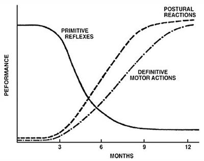 Retained Primitive Reflexes and Potential for Intervention in Autistic Spectrum Disorders